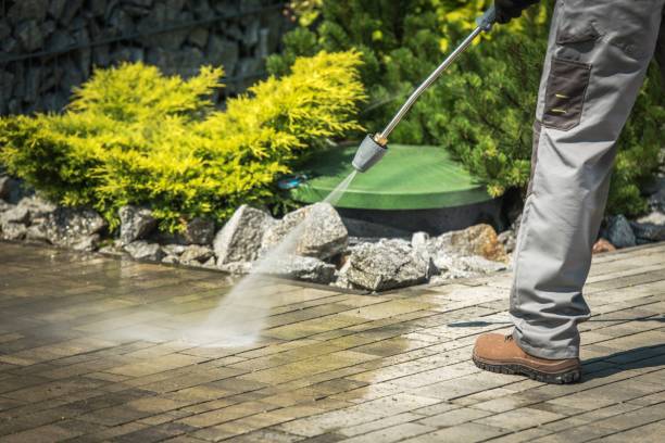 Best Animal Enclosure Cleaning  in Feasterville, PA