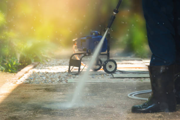 Animal Enclosure Cleaning in Feasterville, PA